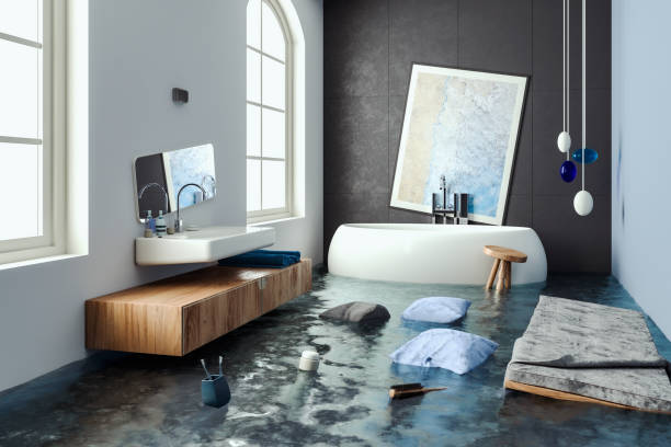 Best Flood restoration services  in Prairie Grove, IL
