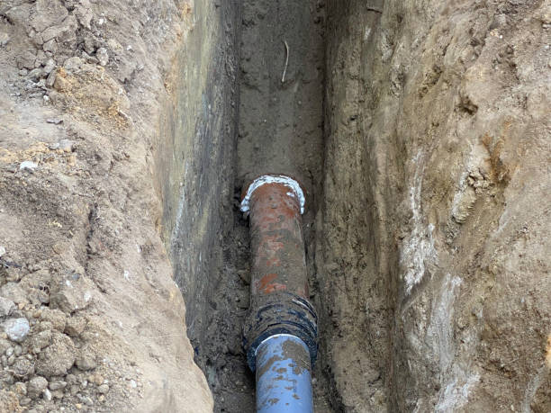 Best 24/7 water damage repair  in Prairie Grove, IL