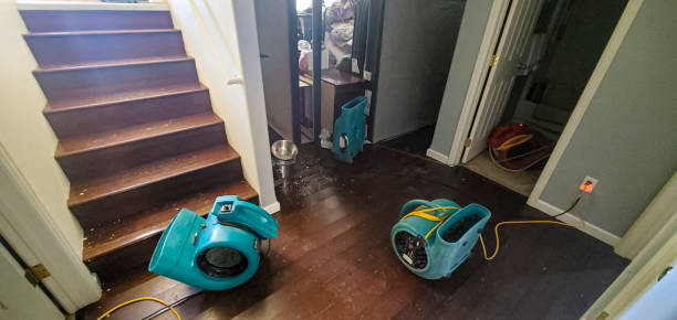 Best Water damage restoration near me  in Prairie Grove, IL