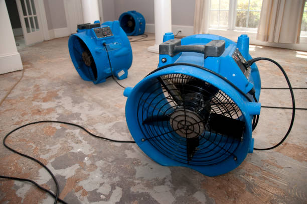 Best Ceiling water damage repair  in Prairie Grove, IL