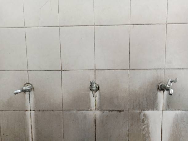 Best Water damage restoration company  in Prairie Grove, IL