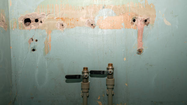 Best Sewage cleanup and water damage restoration  in Prairie Grove, IL