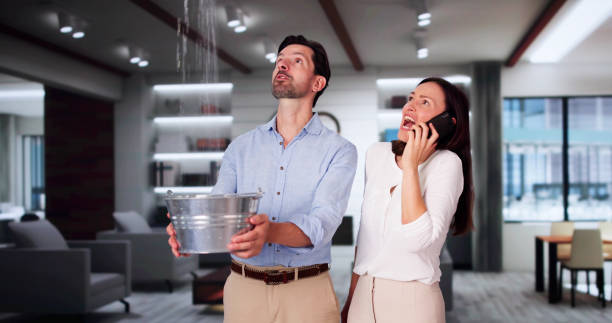 Best Flood damage cleanup  in Prairie Grove, IL