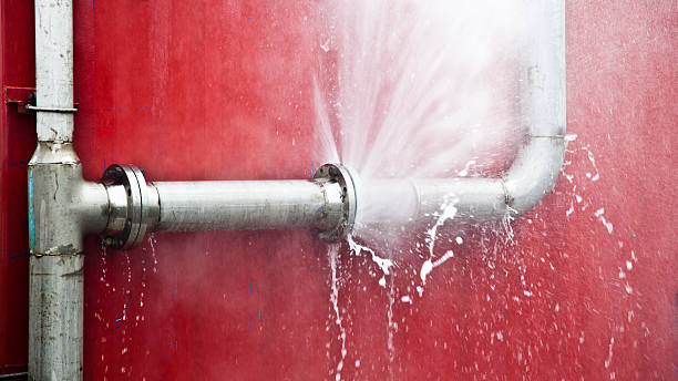 Best Water damage restoration process  in Prairie Grove, IL
